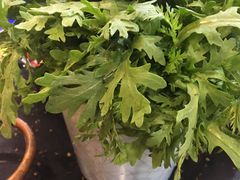 -成都老码头火锅(旺角店)