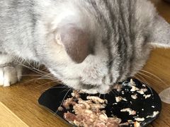 -平行世界·猫咖(首经贸店)