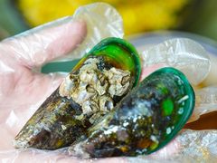 -巽寮印象美食部落餐厅·海鲜·地方特色菜(惠州体验店)