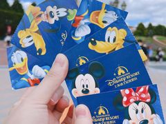 -上海迪士尼度假区