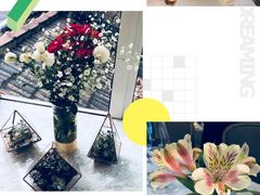 -蝶舍·MAISON PAPILLON