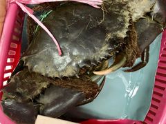 -龙海鲜螃蟹王(宏茂桥店)