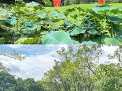 -云溪植物园
