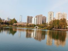 -四海公园(南山区)