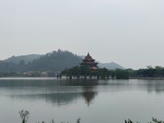 -顺峰山公园