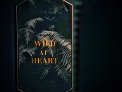 -解药·antidote Cafe&Bar