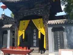 -大槐树寻根祭祖园