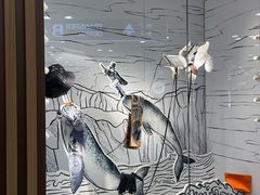 -米兰马尔彭萨国际机场