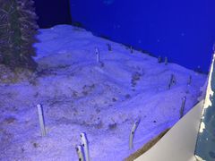 -芜湖新华联大白鲸海洋公园