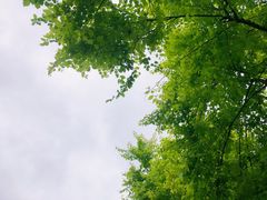 -西南政法大学(渝北校区)