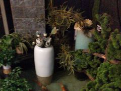 -长赢养生(平度店)