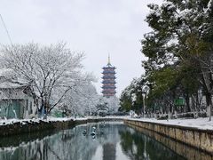 -葛仙湖公园