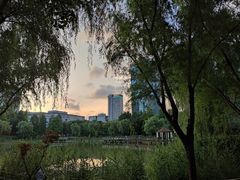 -新虹桥中心花园
