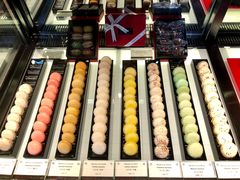 马卡龙礼盒-Salon de The de Joel Robuchon(外滩18号店)