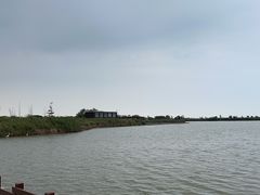 -盐城丹顶鹤湿地生态旅游区