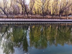 -南长河公园