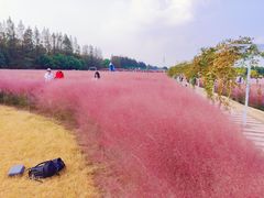-嘉北郊野公园