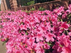 -半岛1919创意园区