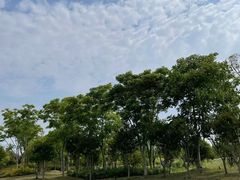 -尚贤河湿地