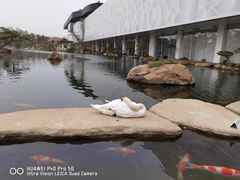 -罗红摄影艺术馆