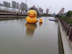 -菊园百果园