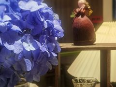 -小西家作(富力爱丁堡店)