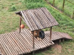 -青藏高原野生动物园