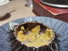 -连鹭海鲜·海肠捞饭·海胆饭(星海店)