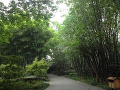 望江楼公园-望江楼公园