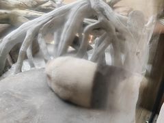-宁波野生动物园