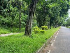 -福建鲤鱼洲酒店