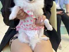 -怪兽屋·羊驼·猫咖·狗咖(俊华广场店)