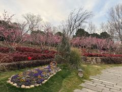 -茅山东方盐湖城景区