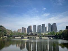 -重庆彩云湖湿地公园