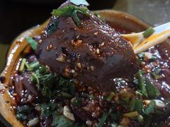 -小杨翘脚牛肉