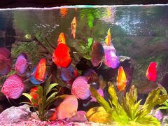-上海海洋水族馆