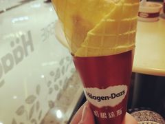 -哈根达斯(合肥天鹅湖店)