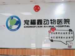 -宠福鑫动物医院(城北分院)