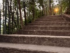 -石台牯牛降景区