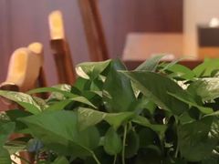 -吕纪蘇面(保利广场店)