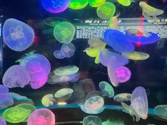 -太平洋海底世界