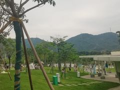 -白石龙音乐公园