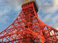 -东京塔海贼王主题公园