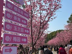 -凤凰沟景区