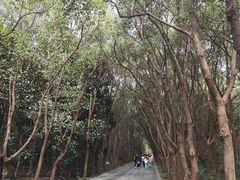 -同里国家湿地公园