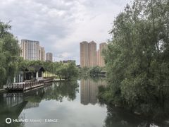 -洋湖国家湿地公园