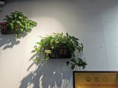 -蘇河湾·新鲁菜·泰山宴(宝龙店)