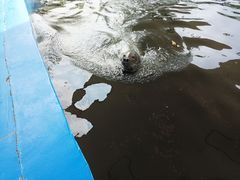 -北戴河圣蓝海洋公园