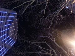 -大连富丽华大酒店