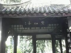 -温江公园